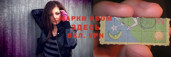 крисы Алзамай