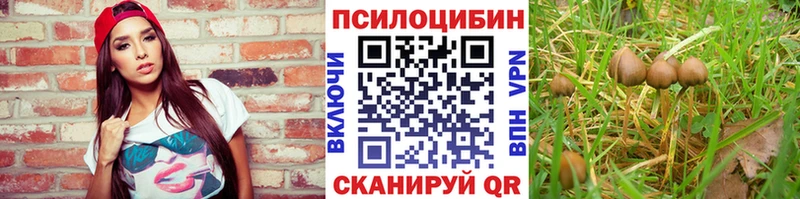 сколько стоит  Бирск  Псилоцибиновые грибы прущие грибы 